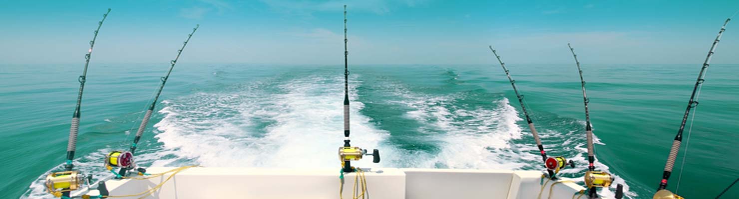 Fishing poles trolling