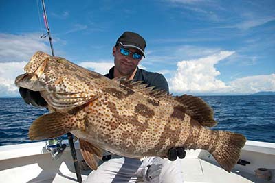 He Caught a HUGE Grouper