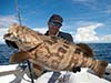 Huge Grouper