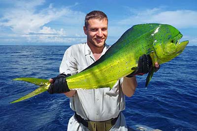 A Nice Sized Mahi Mahi