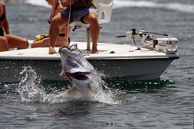 Catching a Tarpon